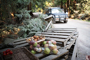Improvised Tables At Roadside