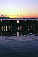 Breakwater At Thieves Bay
