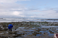 Eric Looking In Pools