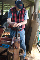 Apples Being Pressed