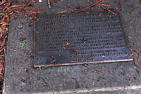 The Fulford Harbour Petroglyph Plaque