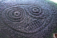 Petroglyph of Seal in Fulford Harbour