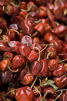 Dried Red Chilli Peppers