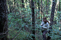 Andrea Climbing Through Rhododendrons
