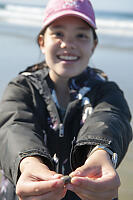 Claira With Purple Olive Snail