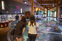 Entrance To Ucluelet Aquarium