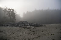 Foggy Beach