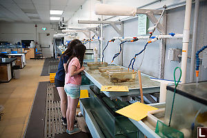 Wet Lab At Bamfield